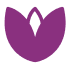 The Lotus Place - Grief Recovery Program